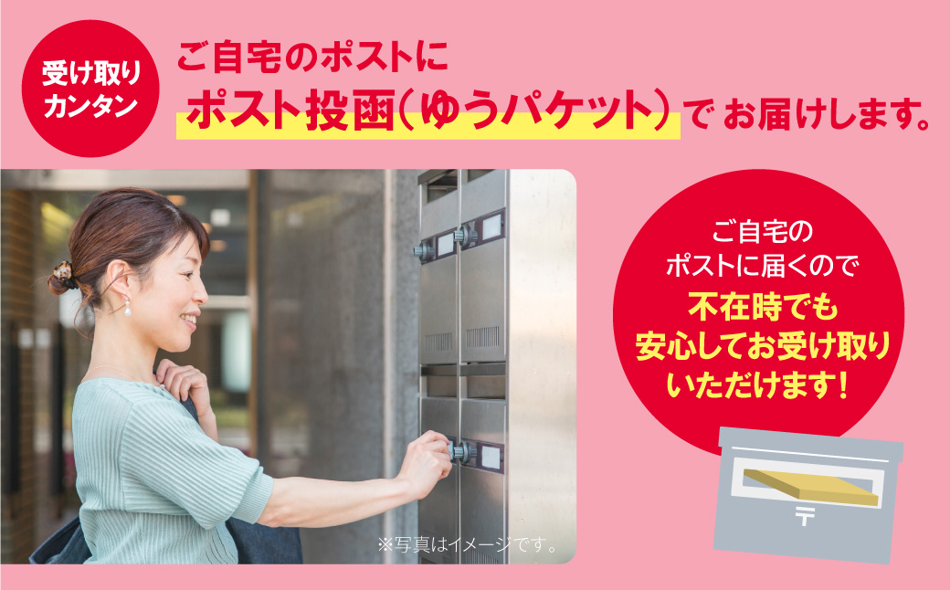 炊き込みご飯の素　博多かしわめし　2～3人前　(２合用　109g)