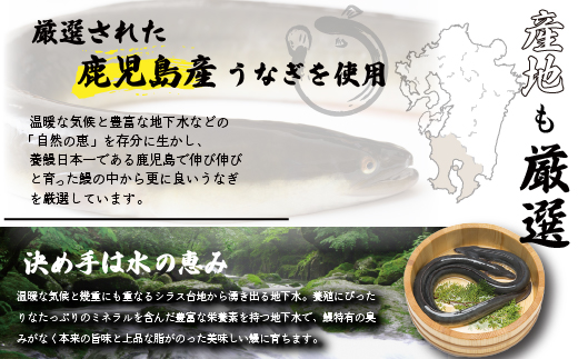 老舗たちばな　鰻蒲焼（250g前後）×4尾