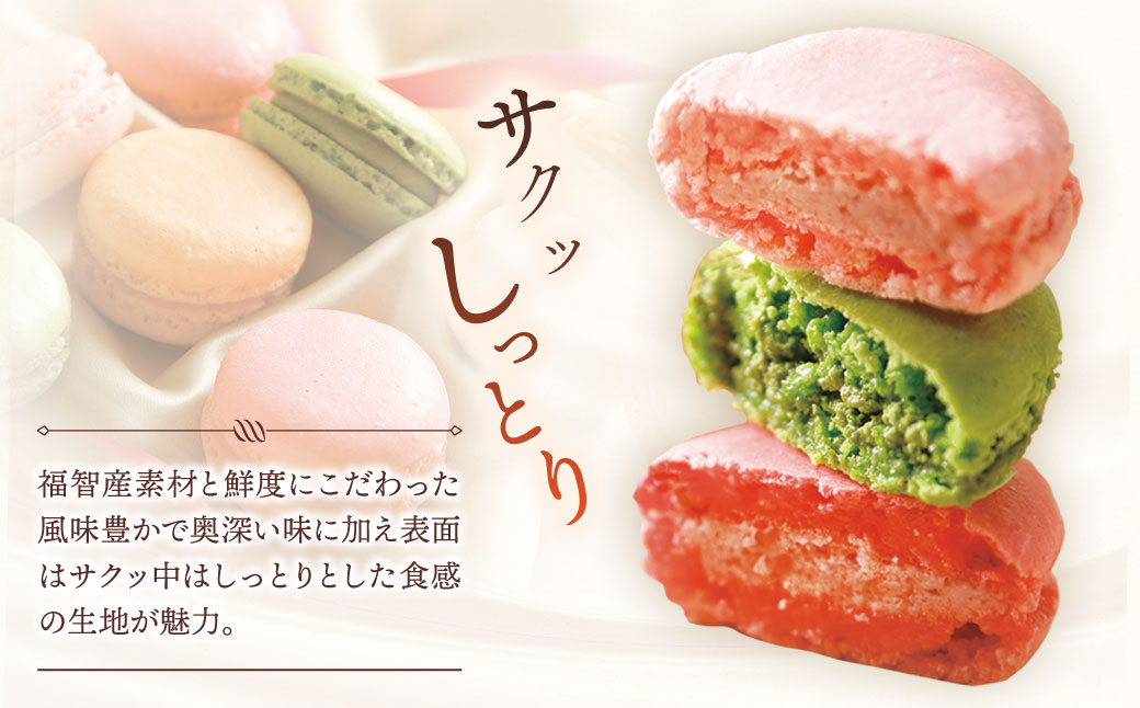 ふくち☆リッチマカロン(10個詰合せ)