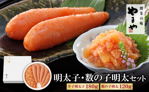 繧縺セ繧 譏主、ェ蟄舌サ謨ー縺ョ蟄先主、ェ繧サ繝繝