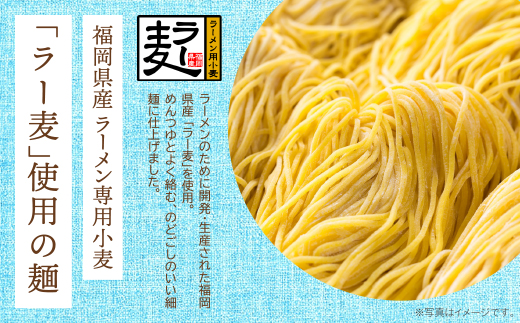 《先行予約》【4～8月発送】福岡県産ラー麦 冷し中華（ごまだれ付）