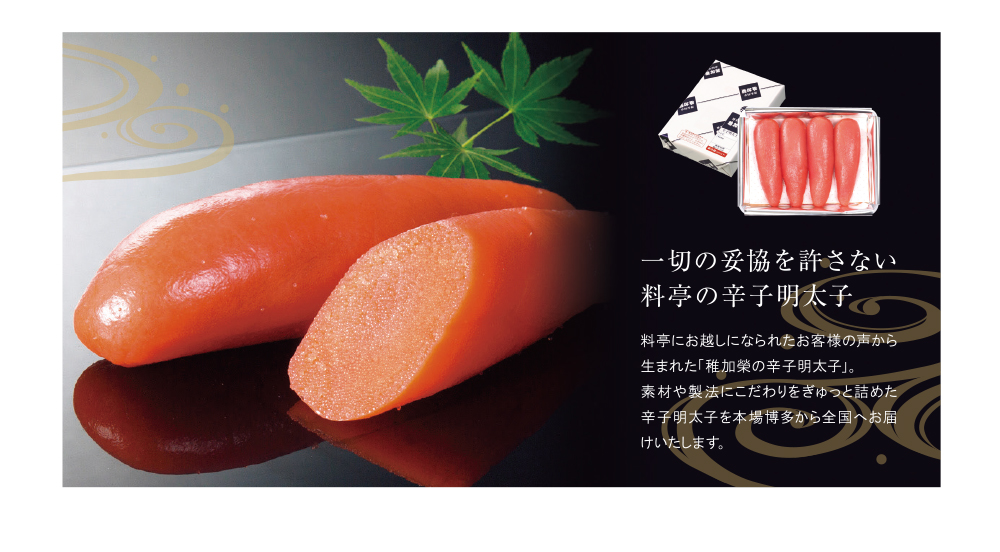 遞壼刈讎ョ 霎帛ュ先主、ェ蟄(蛹也イァ邂ア蜈・繧) 222g MA2