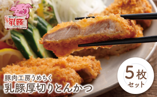 乳豚 厚切りとんかつ5枚