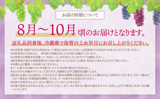季節のぶどう3種セット 約1.5kg ぶどう 葡萄 福岡県 福智町産 ブランド 果実 送料無料 《 予約受付 》【2026年8月～2026年10月発送予定】