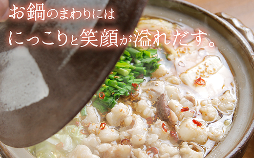 もつ計1kg渾身の大容量!!博多若杉 【訳あり】牛もつ鍋(2人前×5セット) 10人前