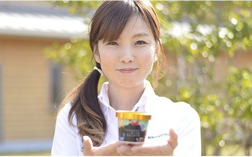 ふくち☆リッチジェラート プレミアム(12個セット)