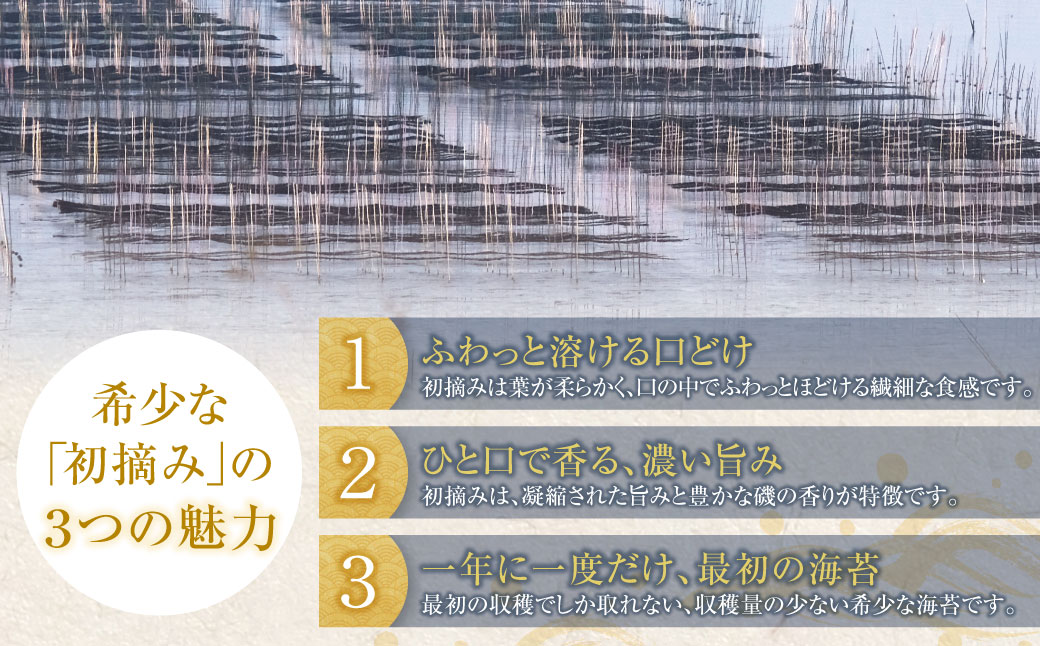 福岡有明のり 初摘み有明美人詰合せ(14袋)
