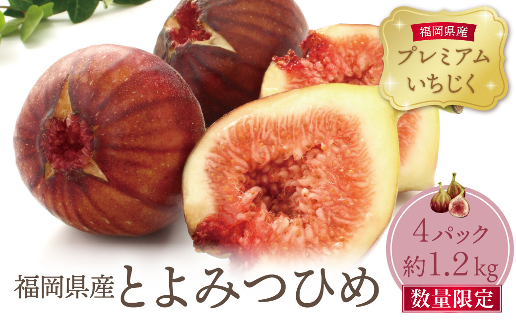 【2027年発送】★先行予約受付開始★ いちじく とよみつひめ 4パック（約1.2kg）福岡県限定 フルーツ 果物 くだもの