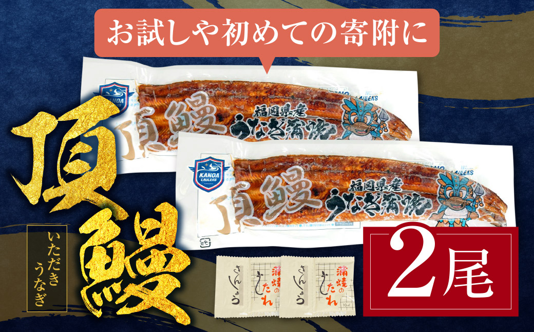 鬆るーサ 遖丞イ。逵檎肇縺縺ェ縺弱ョ闥イ辟シ2蟆セ繧サ繝繝