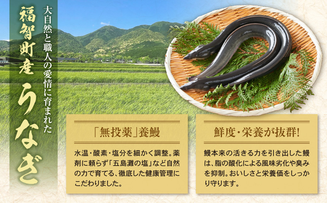 鬆るーサ 遖丞イ。逵檎肇縺縺ェ縺弱ョ闥イ辟シ6蟆セ繧サ繝繝