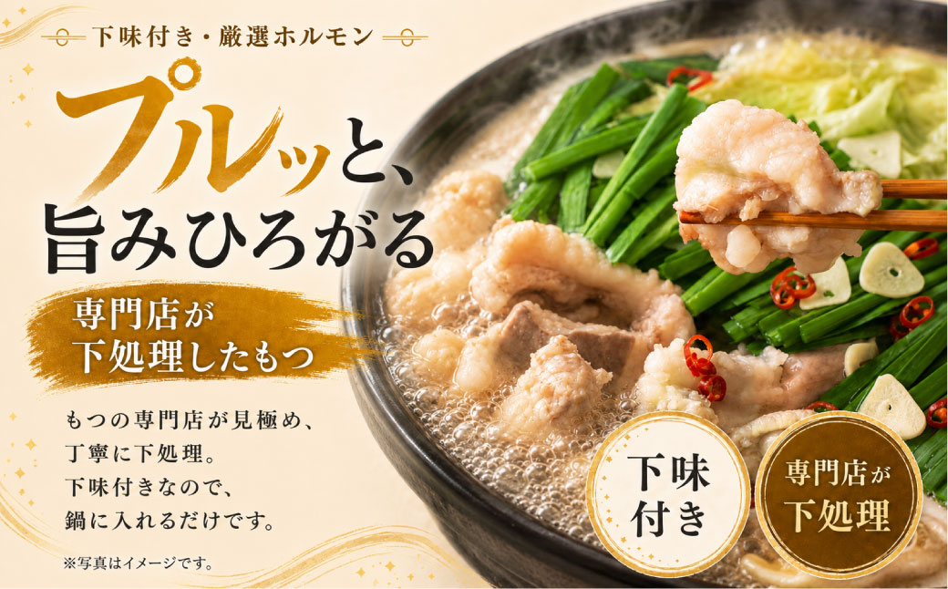 定期便 博多醤油もつ鍋 【訳あり】セット2人前(年2回)