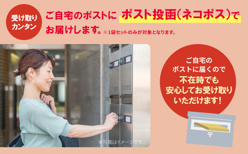 福岡有明のり 塩海苔 2切20枚入り