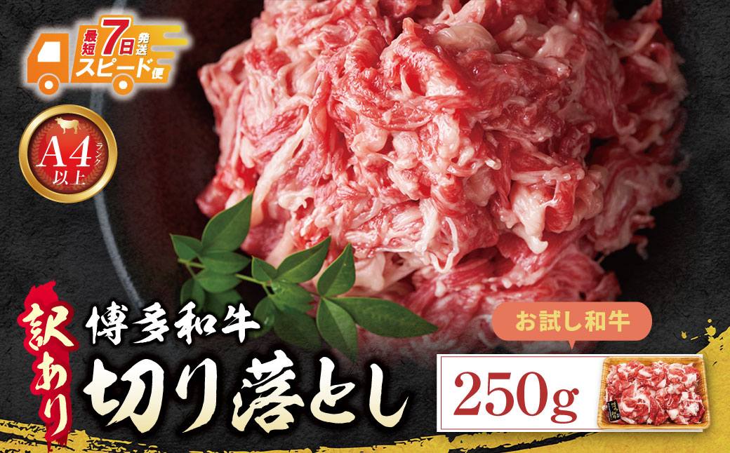 博多和牛A4ランク以上 切り落とし 250g