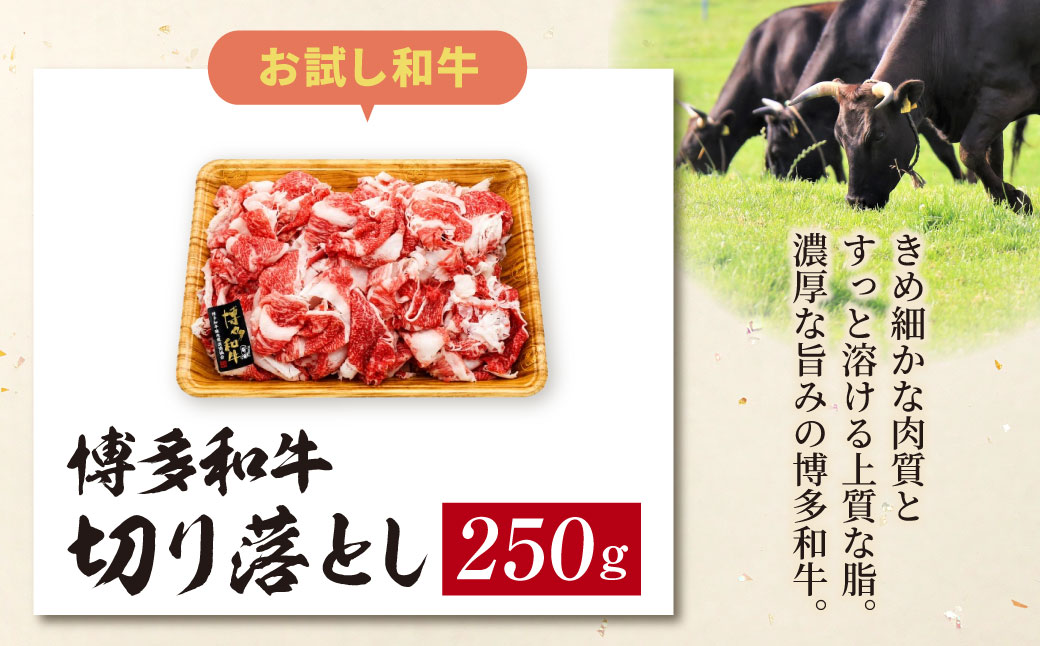 博多和牛A4ランク以上 切り落とし 250g