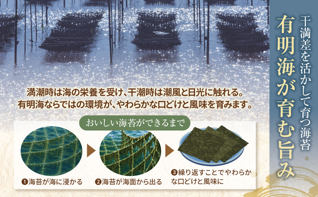 定期便 福岡有明のり 焼き海苔 2切25枚入り×2袋【年2回】