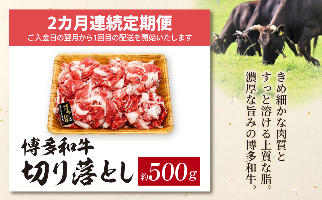 定期便 博多和牛 A4ランク以上 切り落とし 約500g(年2回)
