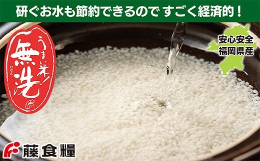 【新米】令和7年産 無洗米 福岡県産・元気つくし25kg  無洗米 むせんまい 米 コメ 25kg キャンプ 研がなくていい  5kg×5 TWR 25キロ 箱入り 手間なし カンタン 簡単 福岡 元気つくし 元気づくし 手軽 リピート 日時指定 ギフト お中元 お歳暮 手にやさしい 時短 コスパ 福岡県限定銘柄 人気上昇中	