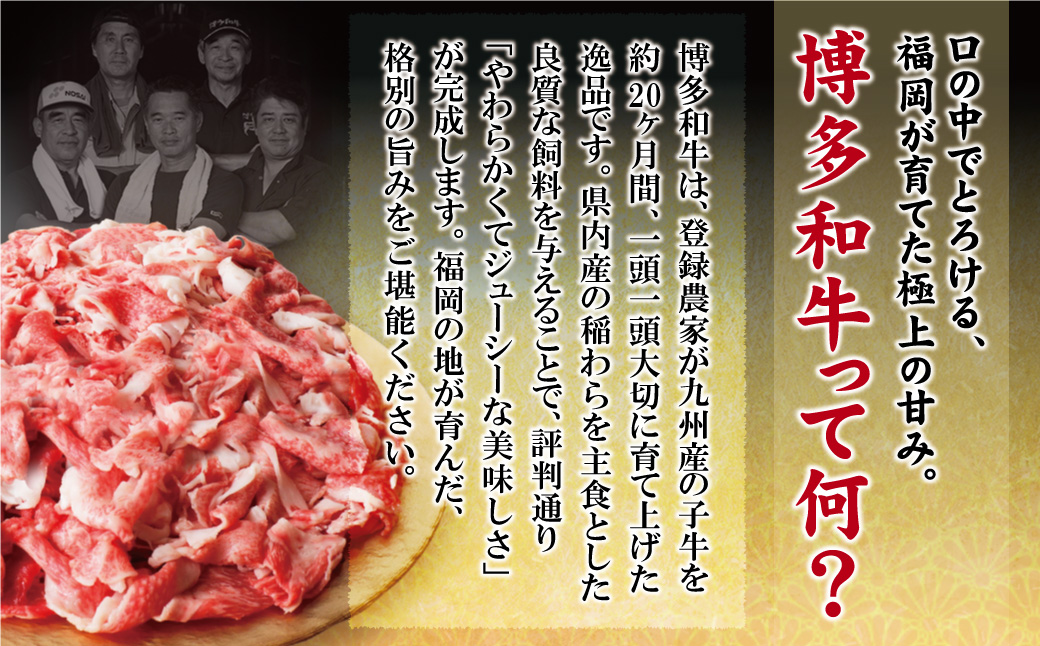 【訳あり】博多和牛　切り落とし800g