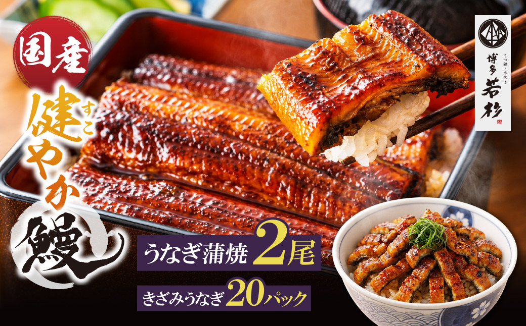 健やかうなぎ蒲焼×2尾(計310g以上) ＆ きざみうなぎ(85g)×20P
