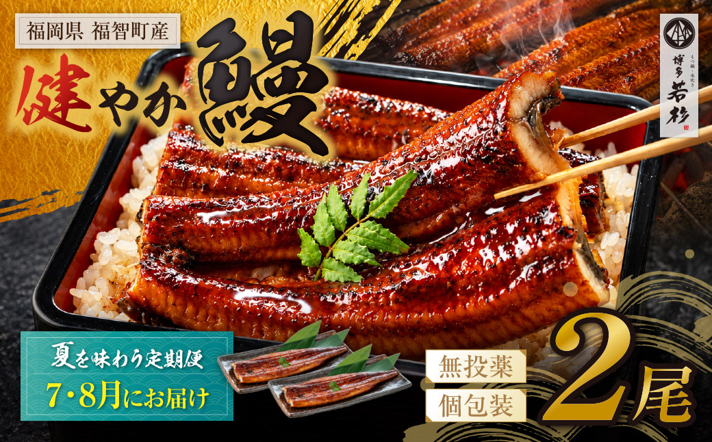 健やか鰻 国産うなぎ蒲焼(無頭)2尾(計310g以上) 定期便(夏発送・7月〜8月・全2回)