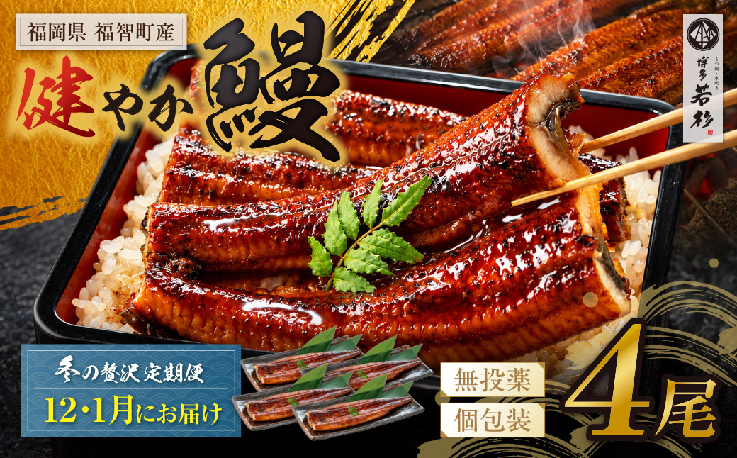健やか鰻 国産うなぎ蒲焼(無頭)4尾(計620g以上) 定期便(冬発送・12月〜1月・全2回)