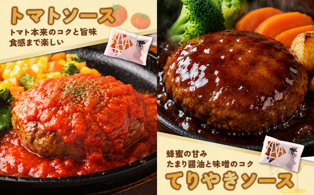 【4回定期便】Best4バーグ ハンバーグ 20個【合挽4種･各5個】