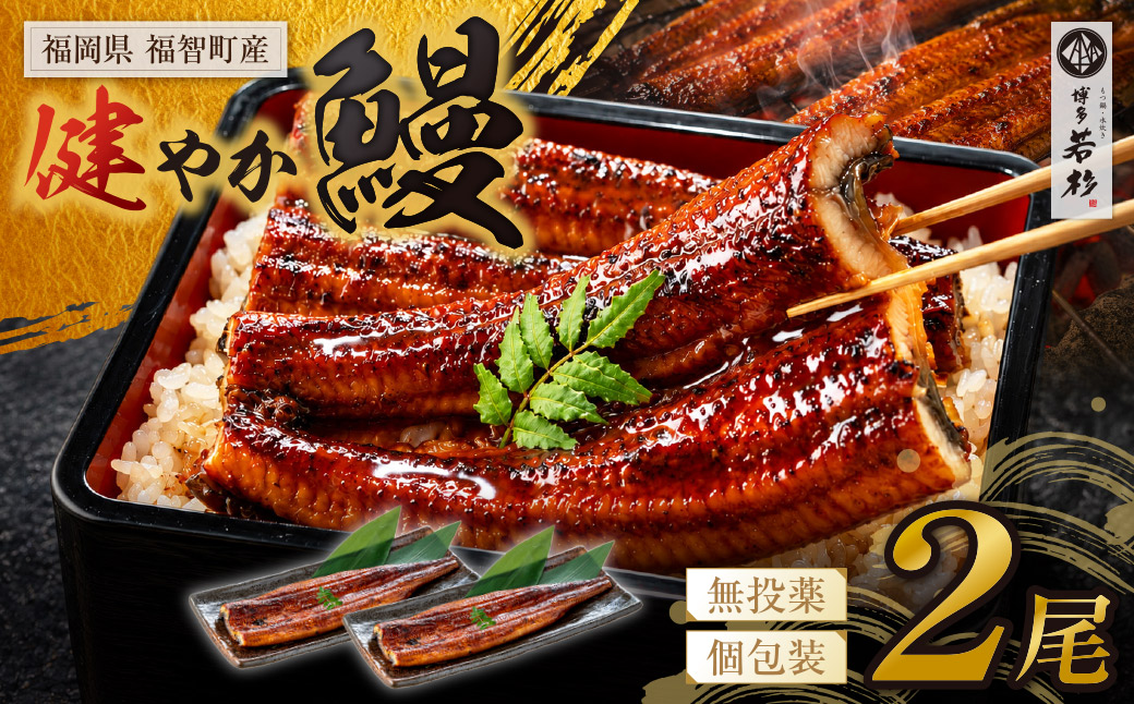 健やか鰻 国産うなぎ蒲焼（無頭）2尾（計310g以上）
