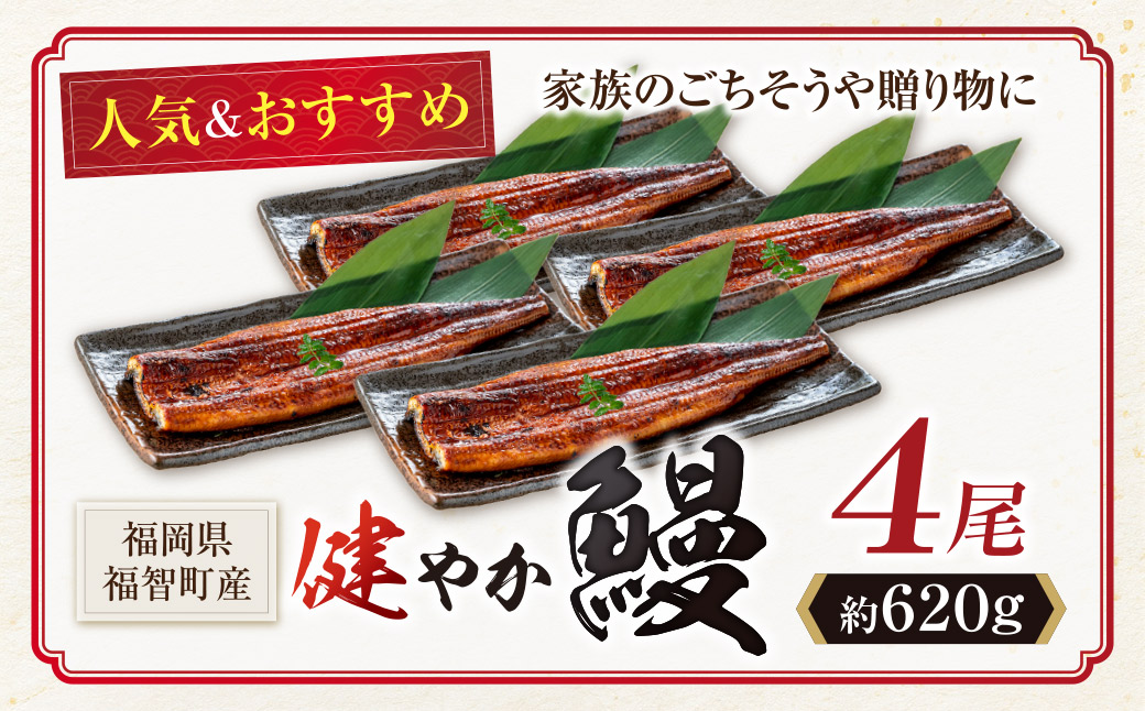 健やか鰻 国産うなぎ蒲焼（無頭）4尾（計620g以上）