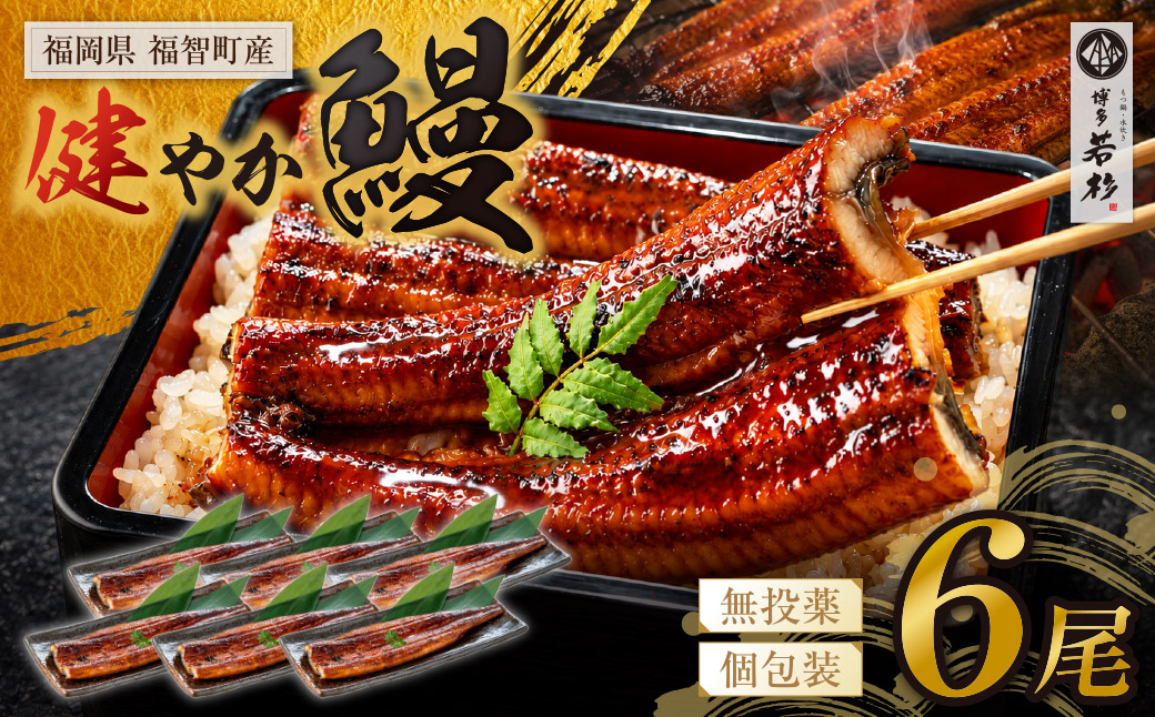 健やか鰻 国産うなぎ蒲焼（無頭）6尾（計930g以上）