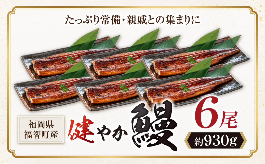 健やか鰻 国産うなぎ蒲焼（無頭）6尾（計930g以上）