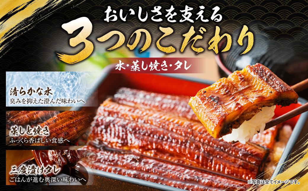 健やか鰻 国産うなぎ蒲焼（無頭）6尾（計930g以上）