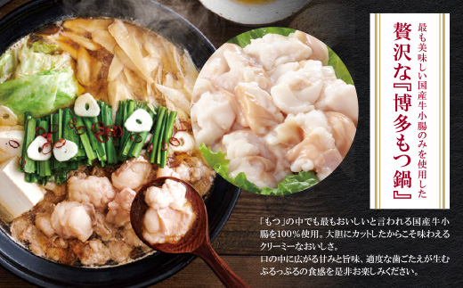 やまや 博多もつ鍋(あごだし醤油味)3～4人前