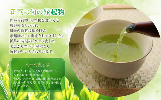  新茶 八女星野茶 120g×2本