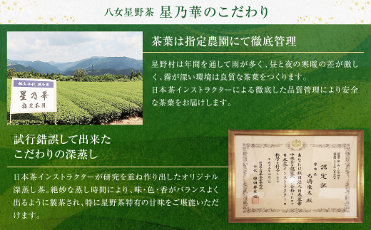 【母の日】新茶 八女星野茶 100g×3本
