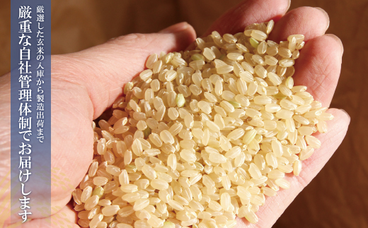 研ぐお米 福岡県産・元気つくし10kg定期便(毎月・年12回)