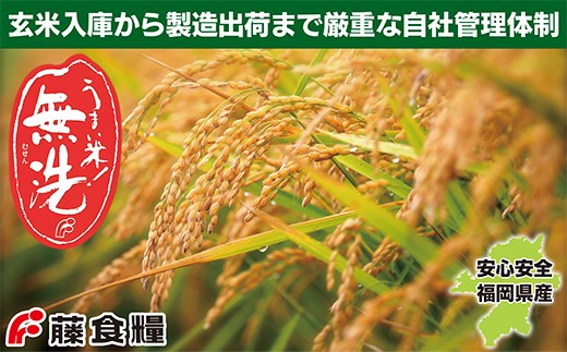【新米】令和7年産 無洗米 福岡県産・元気つくし25kg  無洗米 むせんまい 米 コメ 25kg キャンプ 研がなくていい  5kg×5 TWR 25キロ 箱入り 手間なし カンタン 簡単 福岡 元気つくし 元気づくし 手軽 リピート 日時指定 ギフト お中元 お歳暮 手にやさしい 時短 コスパ 福岡県限定銘柄 人気上昇中	