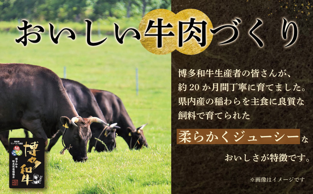 蜊壼、壼柱迚 逕溘ワ繝ウ繝舌シ繧ー 5蛟九そ繝繝