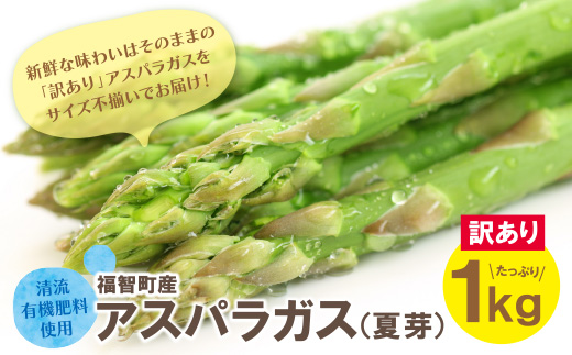 【訳あり】清流・自然栽培 アスパラガス(夏芽) 1kg