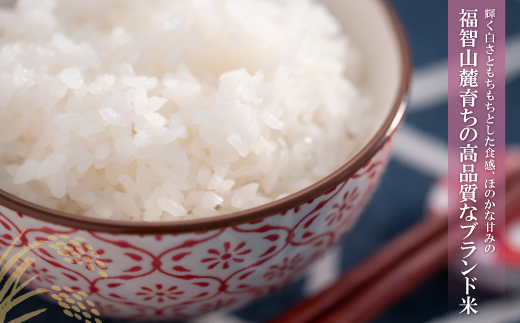 【新米】令和7年産 研ぐお米 夢つくし10kg 米 コメ 10kg 箱入り 5kg×2 夢つくし 10キロ 福岡 夢つくし ゆめつくし 手軽 リピート 日時指定 ギフト お中元 お歳暮 コスパ 福岡県限定銘柄 人気 研ぐお米