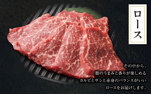 焼肉ボタ山秘伝タレ 焼肉セット