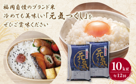 研ぐお米 福岡県産・元気つくし10kg定期便(毎月・年12回)