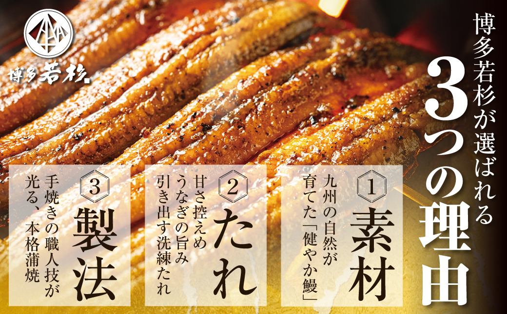 縲2026蟷エ 荳代ョ譌・ 蜈郁。御コ育エ縲大▼繧縺矩ーサ 蝗ス逕」縺縺ェ縺手調辟シシ育┌鬆ュシ2蟆セシ郁ィ310g莉・荳奇シ