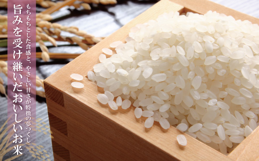 辟。豢礼アウ 遖丞イ。逵檎肇繝サ螟「縺、縺上@10kg螳壽悄萓ソ(髫疲怦繝サ蟷エ6蝗)