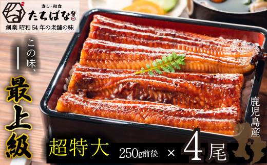 老舗たちばな　鰻蒲焼（250g前後）×4尾