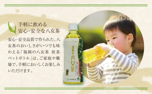 福岡の八女茶 煎茶ペットボトル(24本)定期便(隔月×3回)