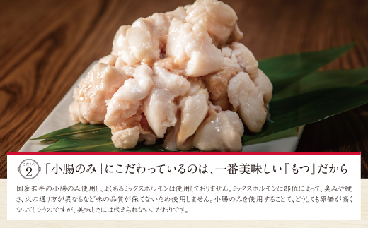 【定期便3ヶ月】福岡売上No1　博多もつ鍋おおやま もつ鍋しょうゆ味 2人前