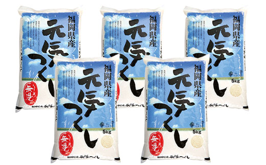 【新米】令和7年産 無洗米 福岡県産・元気つくし25kg  無洗米 むせんまい 米 コメ 25kg キャンプ 研がなくていい  5kg×5 TWR 25キロ 箱入り 手間なし カンタン 簡単 福岡 元気つくし 元気づくし 手軽 リピート 日時指定 ギフト お中元 お歳暮 手にやさしい 時短 コスパ 福岡県限定銘柄 人気上昇中	