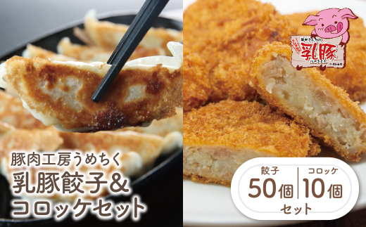 乳豚 餃子50個＆コロッケ10個セット
