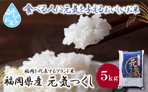 令和7年産 研ぐお米 元気つくし5kg  米 コメ 5kg 箱入り  5キロ 福岡 元気つくし 元気づくし 手軽 リピート 日時指定 ギフト お中元 お歳暮 コスパ 福岡県限定銘柄 人気上昇中 研ぐお米