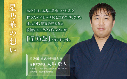 【母の日】新茶 八女星野茶 100g×3本